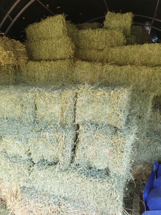 Продавам малки бали люцерна