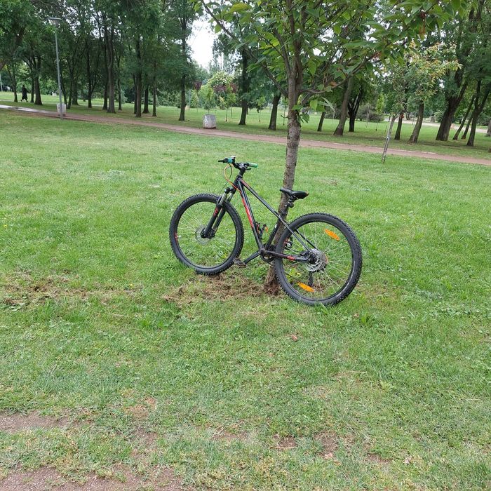 KTM поръчков уникат