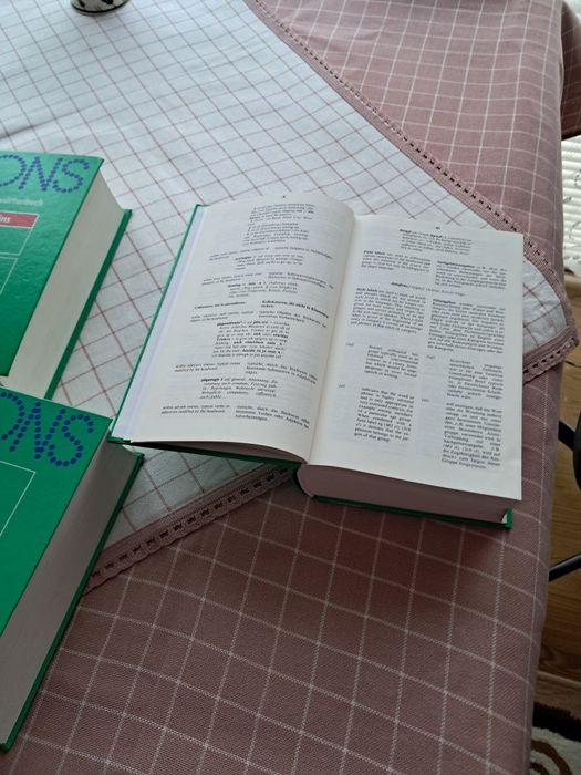 Set de dicționare Pons- germană engleza