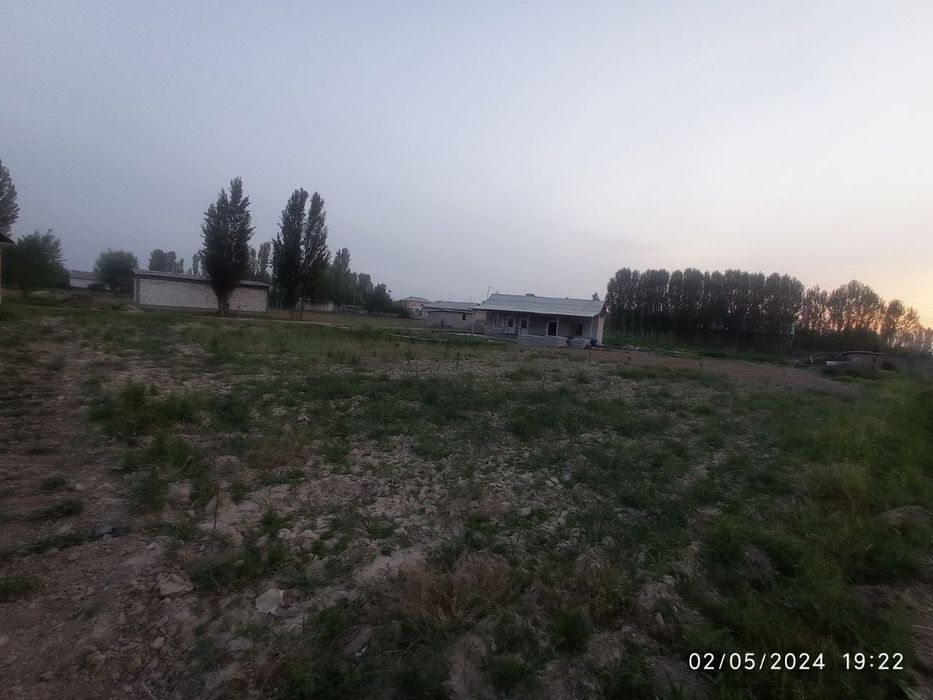 Yer uchaska betoni quyilgan gilos kochat ekilgan trassaga yaqin joyda