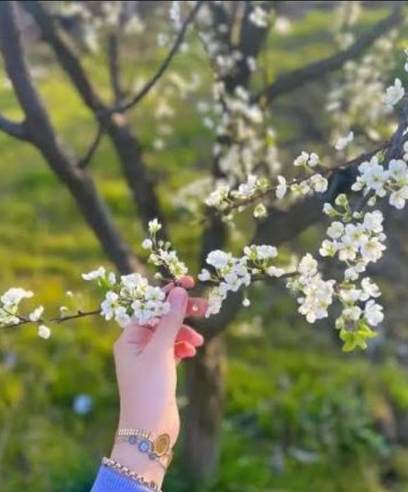 Массаж пилинг выезд