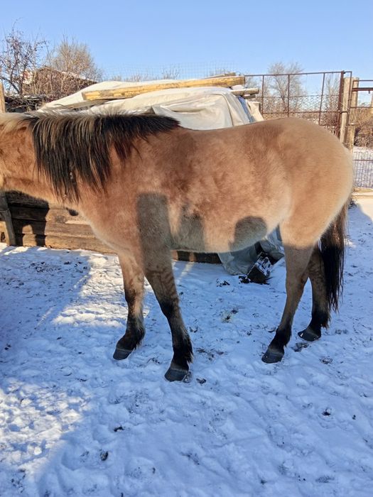 Продам байтал находится в рабочем посёлке
