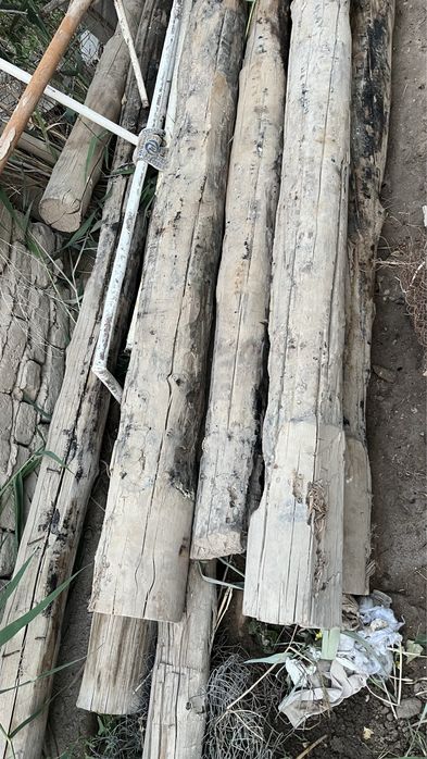 jaidan shiqqan ag’ash