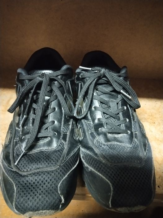 Озвиги черные паль