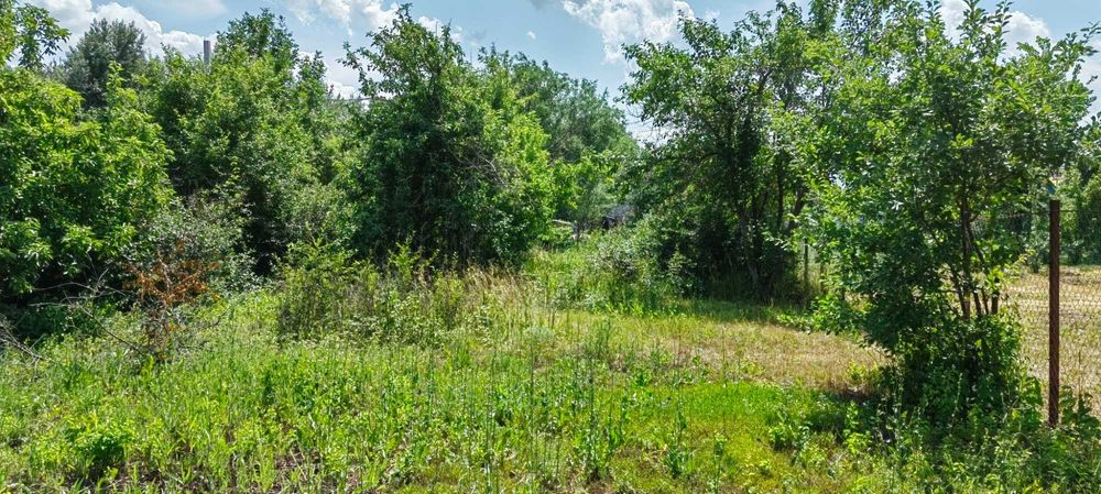 продам дачный участок