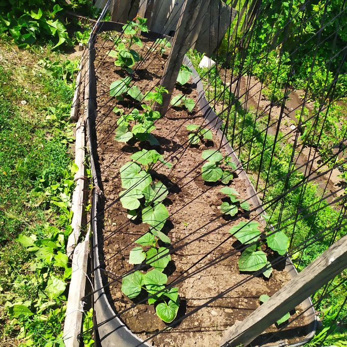 Продам дачный участок