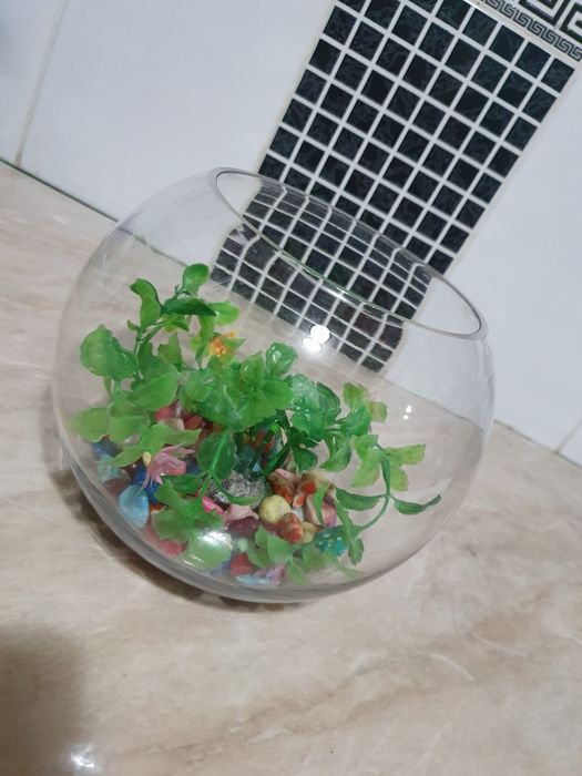 Срочно продам аквариум 3 литровый.