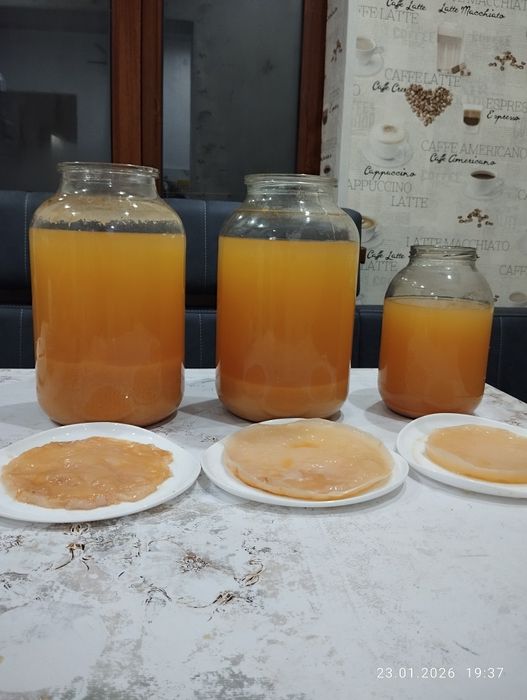 Яблочный натуральный домашний уксус. 500грамм 50тыс.