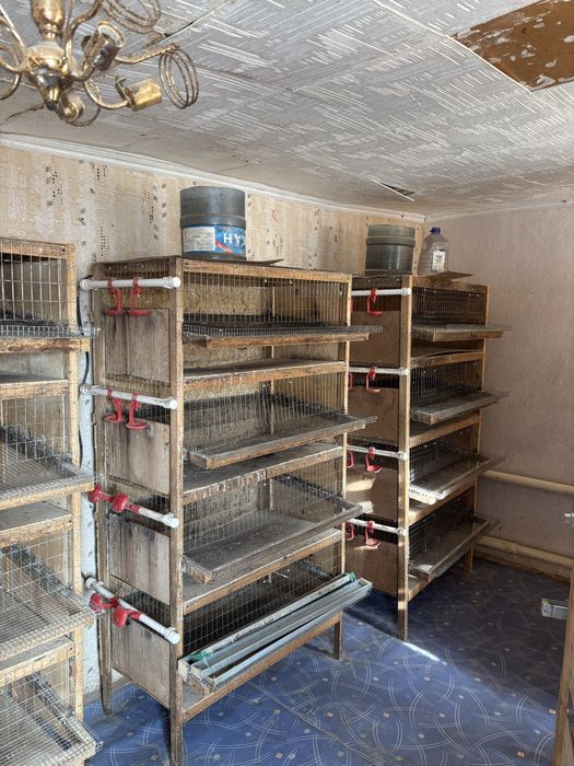 Клетки для перепелов