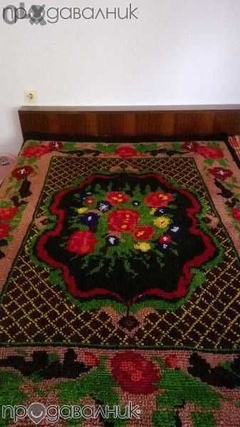 Родопски китрник