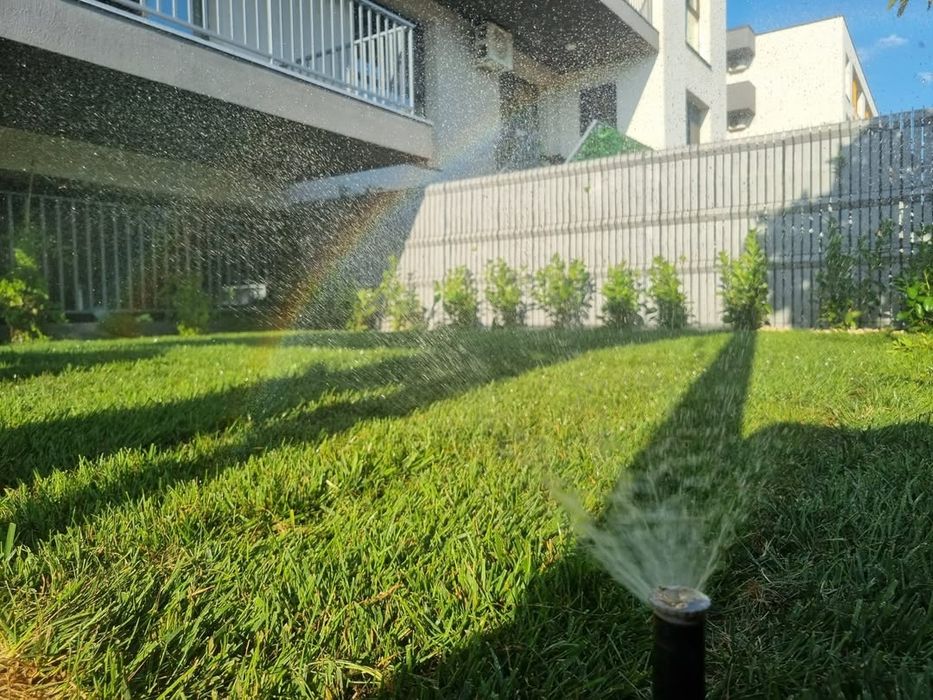 Gazon rulou, livrare rapidă!