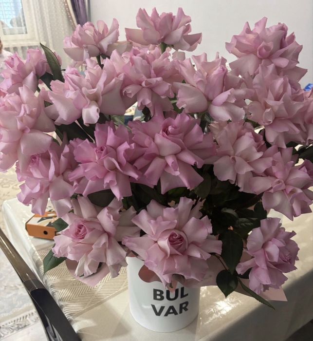 22000тг 19 раскрытых роз в французком стиле получили только что