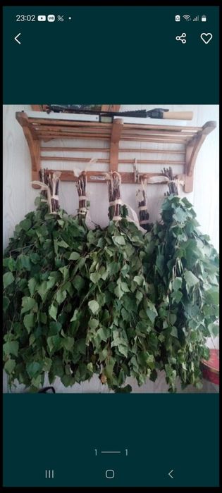 Веники берёзовые