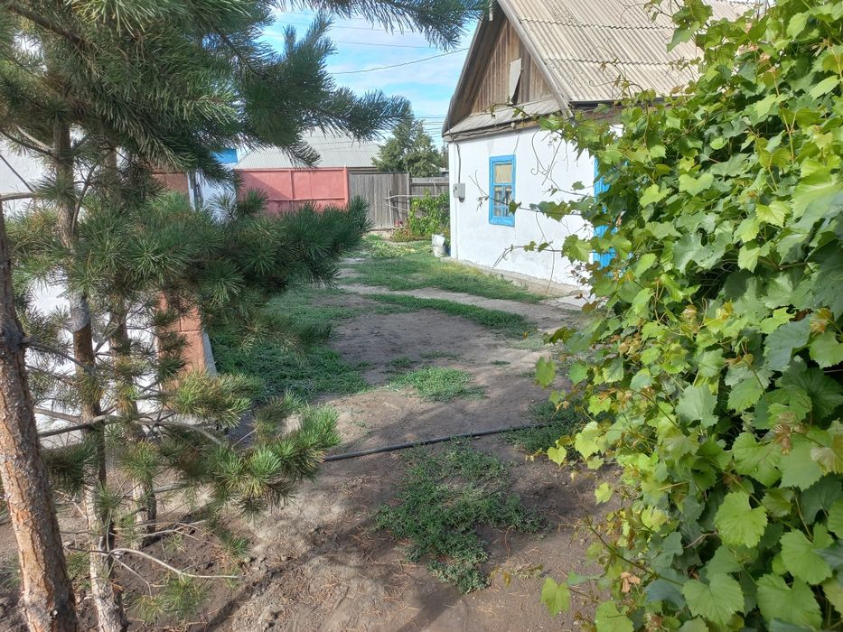 Дом. Два дома, два участка.