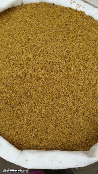 Vând  sămânță de lucernă