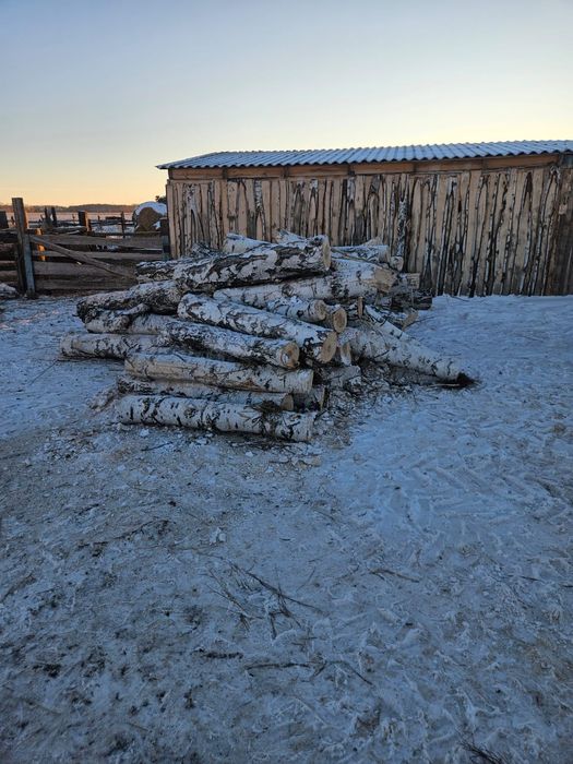 Дрова 1.5 метра хороший