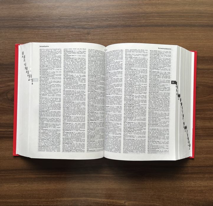 Dictionar German German Wahrig