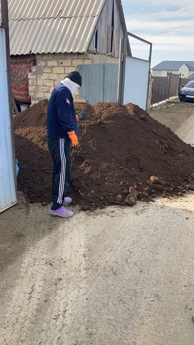 Чернозем егинге кара топрак