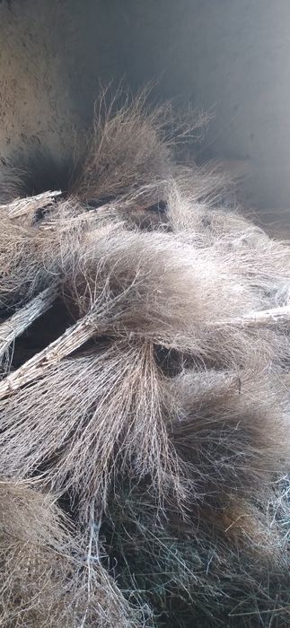 Ko‘cha supuradigan supurgi