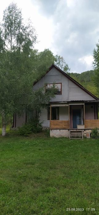 Продам.  Пасеку.