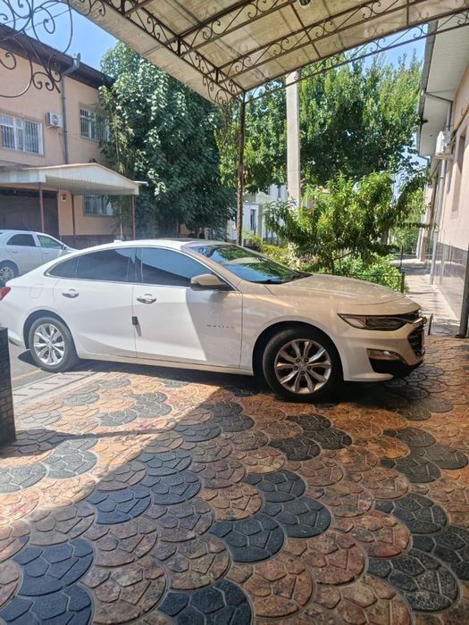 malibu 2020 yil oq rang