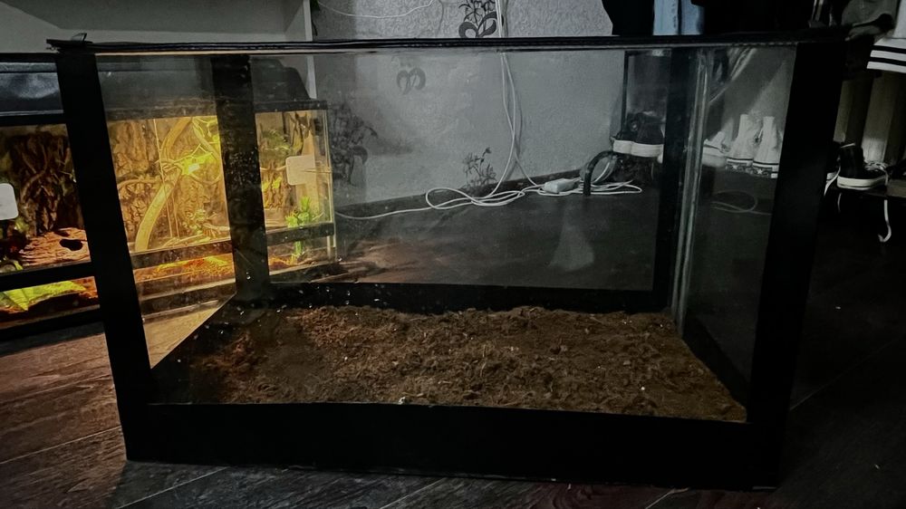 Терраериум/аквариум на 100л