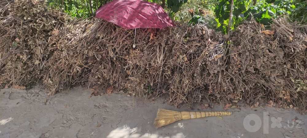 Утин арзон сотаман ховлини тозалаш керак. Продам дрова дёшево.