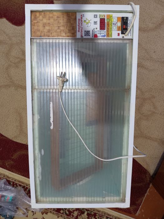 Инкубатор блиц норма