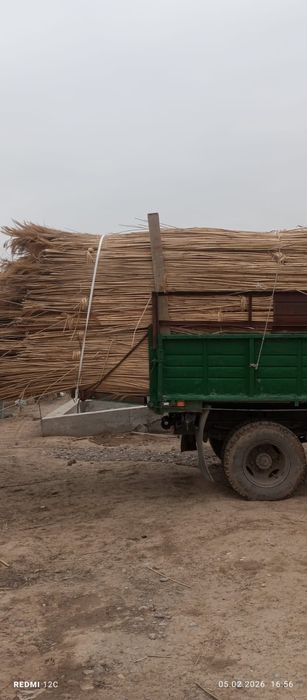 Камыс бау ши бар