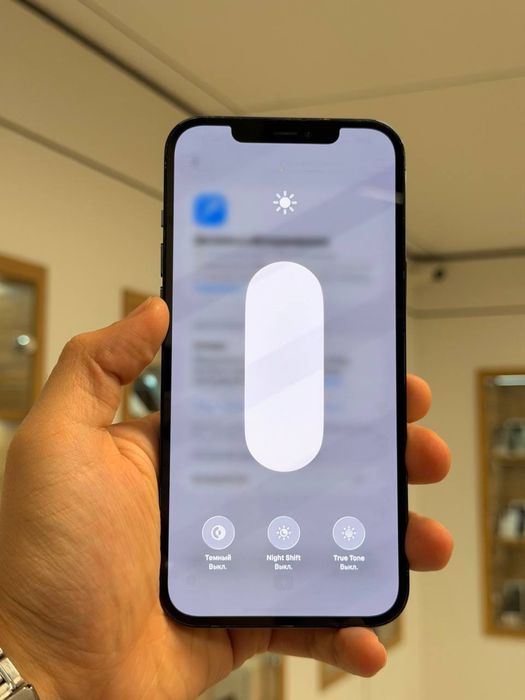 iPhone 12 Pro Max | 256 GB