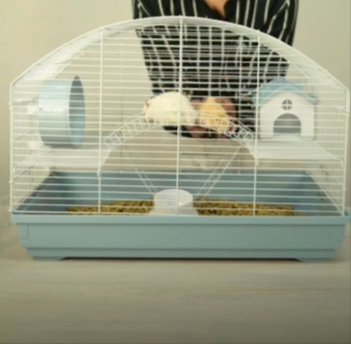 Продается Хомяк