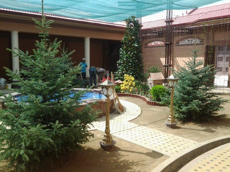 Продаётся рулонный газон, услуги по озеленении