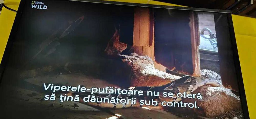 Televizor Smart LED LG, 80 cm, 32LF630V, Full HD, Clasa A