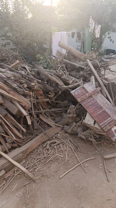 Taxta va daraxt oʻtinlar