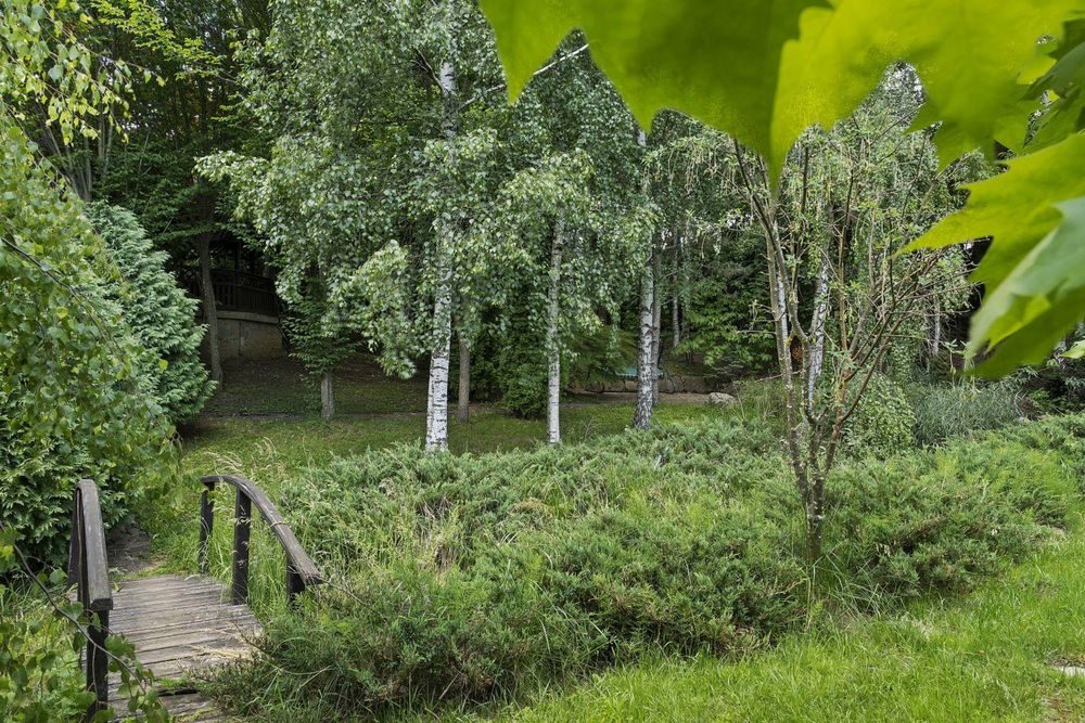 Direct Proprietar Terenuri Construibile Penteu Case De Vacanță de Vanzare Sinaia-Busteni 2200 mp Vedere Panoramică neperturbată