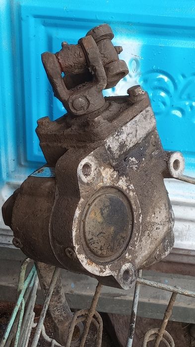 Газель рулавая с