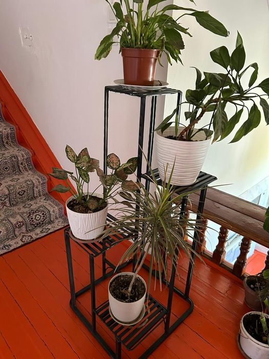 Подставка (для цветов) Гүлге темірден жасалған