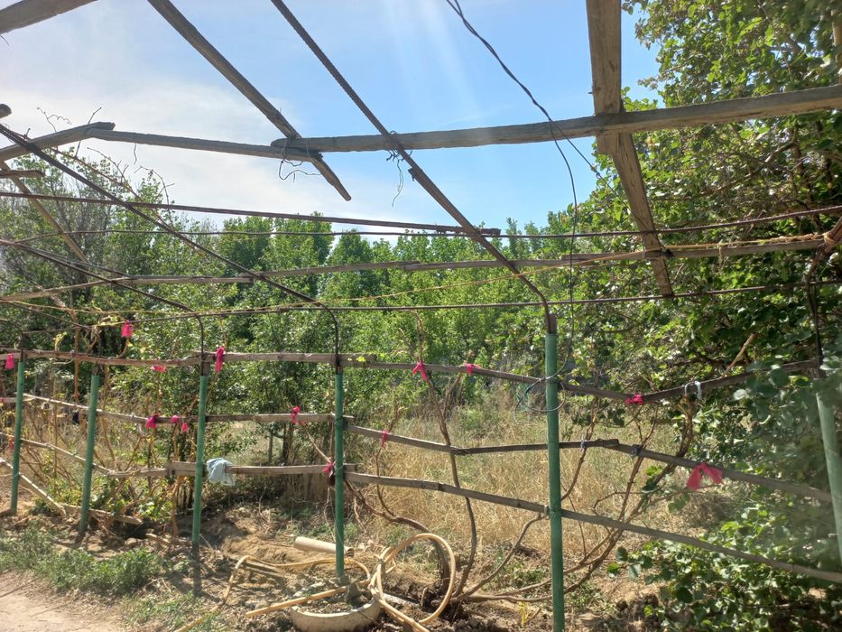 Срочно дача продается 12 соток