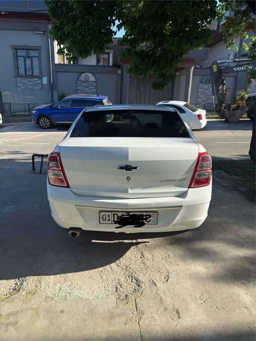 Other Cobalt 2024 — 4