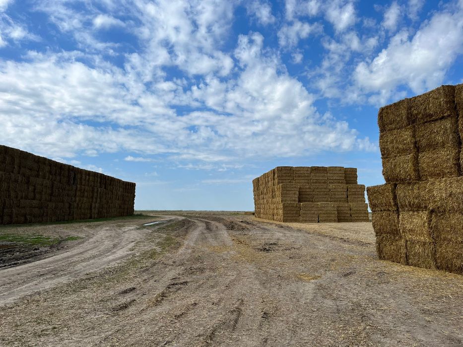 Baloți pătrați de paie