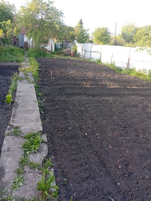 Продам дачу в новой-бухтарме