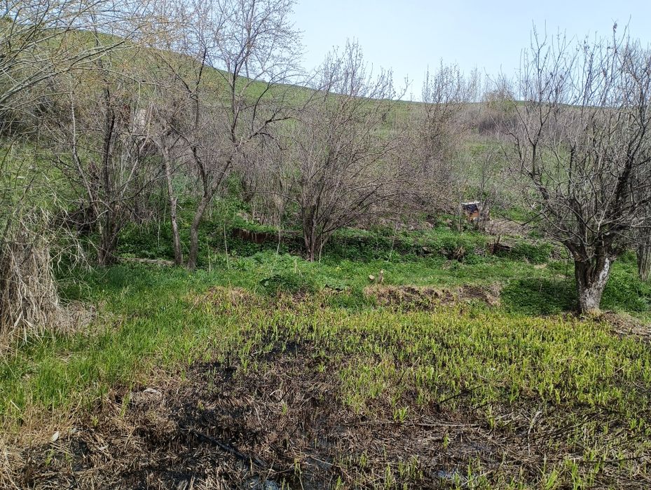 Продается земля.