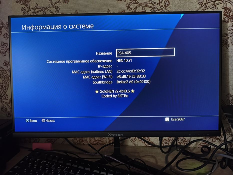 Playstation 4 Slim прошитая