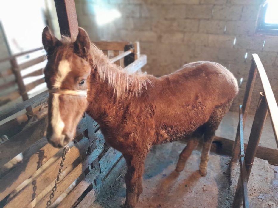 Бір қыз көшеде зейін қойып отыр