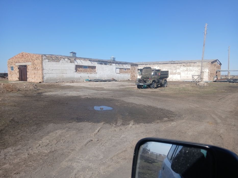 Откорм база хозяйство