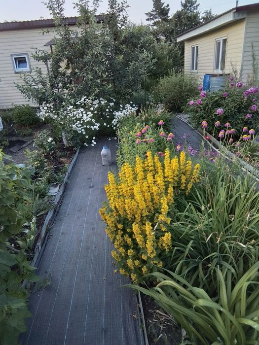 Продам дачу в с/т Эврика