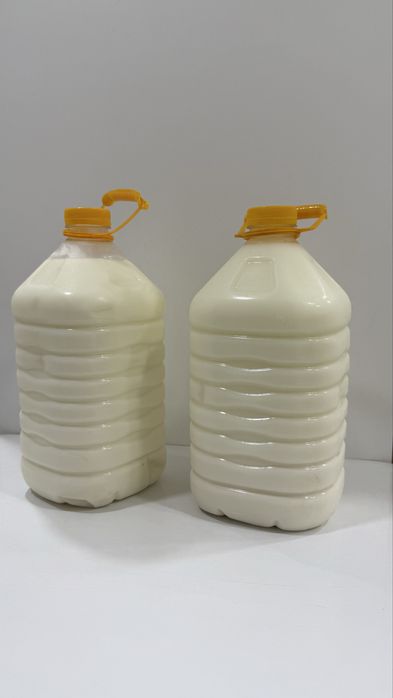 Катоннын таза кымызы