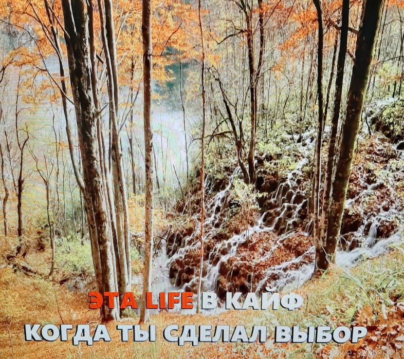 Караоке Еncore Professional получите полный доступ