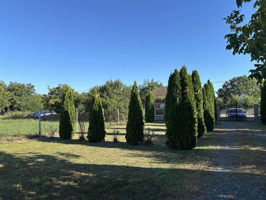 Grădină de vânzare