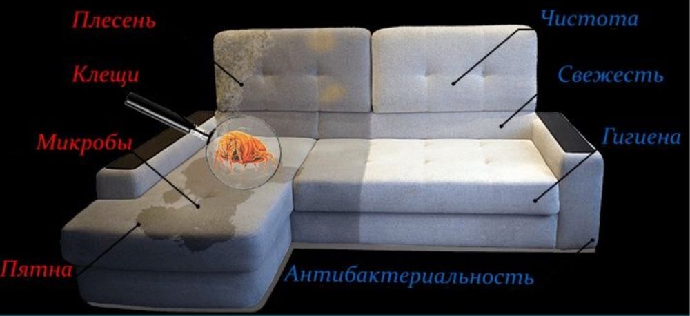 Аренда пылесоса / пароочиститель